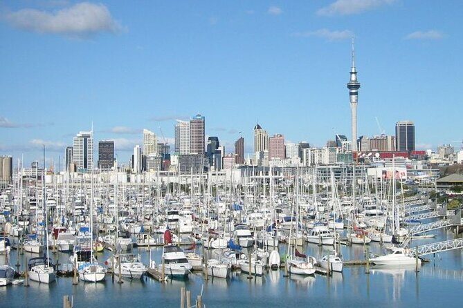 Private Auckland Shore Excursion: Half-Day City Highlights - Military History at North Head