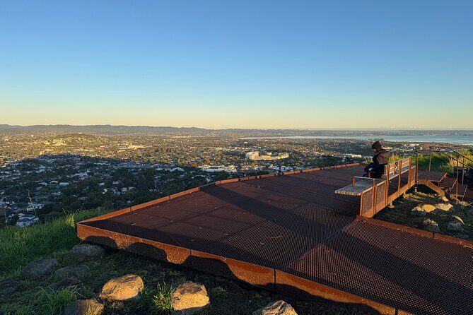 Private Auckland Sunrise Tour: Mount Eden Summit & Morning Views - Who Should Consider This Tour?