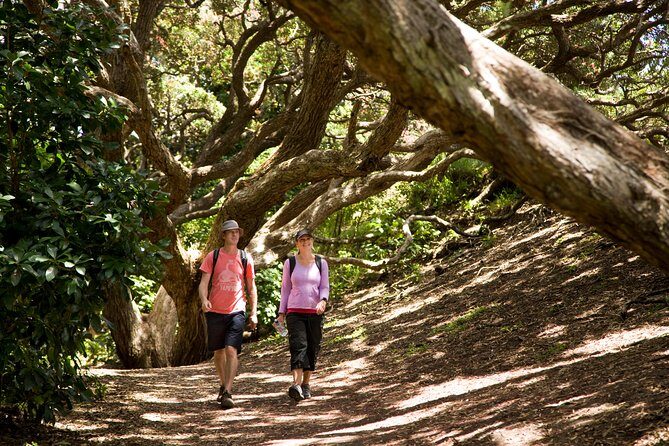Private Auckland West Coast Day Tour - Authentic Experiences and Practical Considerations