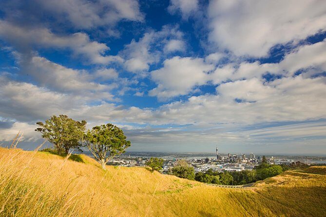 Private Auckland West Coast Day Tour - FAQ