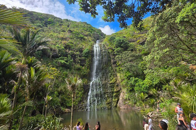 Private Auckland West Coast Karekare Falls, Rainforest and Piha - Discover Auckland’s West Coast in Style: A Detailed Look at the Private Karekare Falls, Rainforest, and Piha Tour