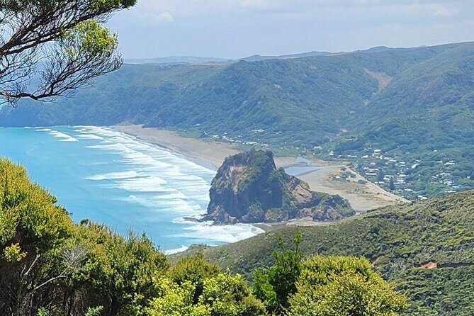 Private Auckland West Coast Tour Piha Beach and Karekare Falls - Exploring the Itinerary in Detail