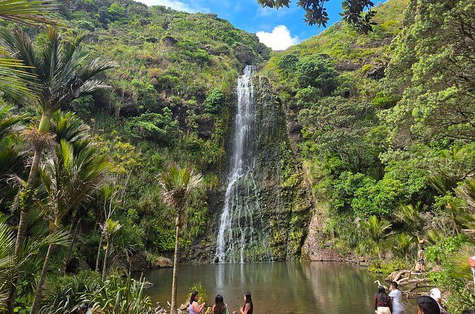 Private Auckland West Coast Tour Piha Beach and Karekare Falls - Practical Considerations