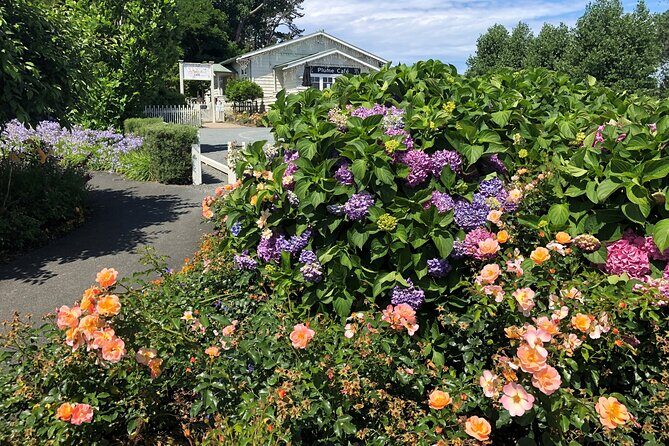 Private Auckland Wine & Dine Matakana Country & Cuisine - The Sum Up