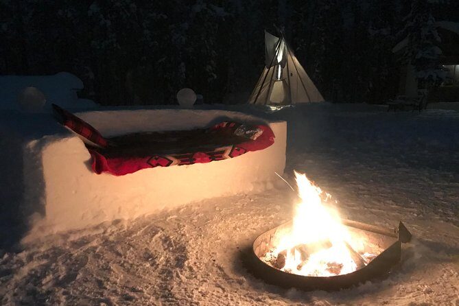 Private Aurora Viewing Experience - Guides and Personal Service