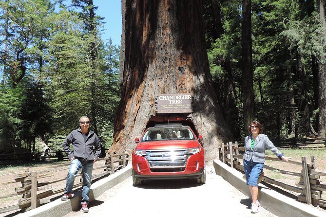 Private Avenue of the Giants Redwoods Day Trip from San Francisco - FAQs