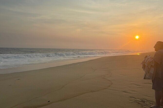 Private Baby Sea Turtle Release Huatulco HT - A Close Look at the Experience