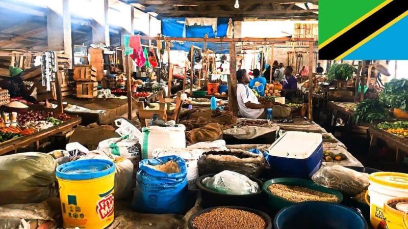 Private Bagamoyo Day Trip with Lunch - The Sum Up: Is This Tour for You?