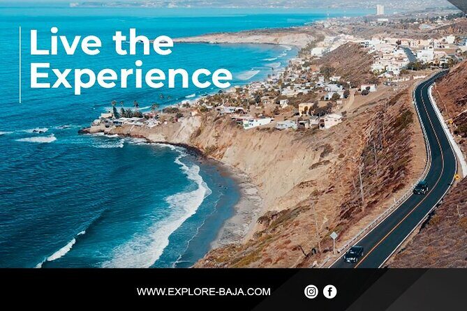 PRIVATE BAJA WINERIES EXPERIENCE (Transportation,concierge,custom schedule) - Key Points