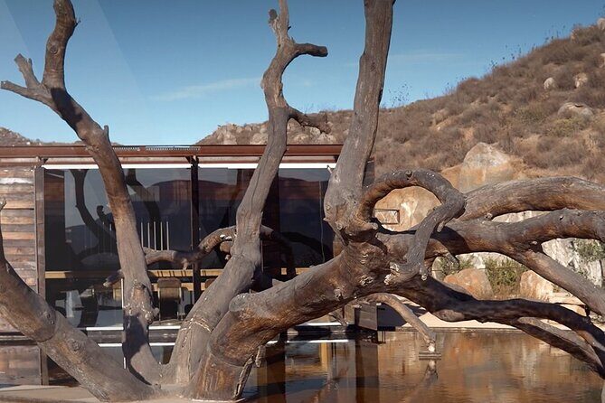 PRIVATE BAJA WINERIES EXPERIENCE (Transportation,concierge,custom schedule) - Pricing & Value for Money