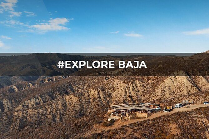 PRIVATE BAJA WINERIES EXPERIENCE (Transportation,concierge,custom schedule) - Who Will Love This Tour?