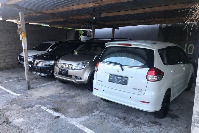 Private Bali Car Charter with Driver up to 6 People - Who Should Consider This Tour?