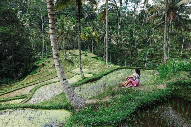 Private Bali Car Charter with Driver up to 6 People - The Sum Up