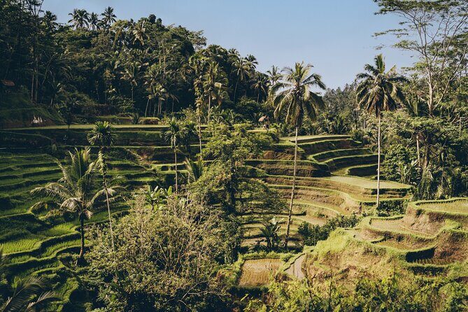 Private Bali Custom Tour Full Day with English-Speaking Driver - Who It’s Not For