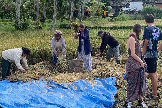 Private Bali Custom Tour Full Day with English-Speaking Driver - The Sum Up