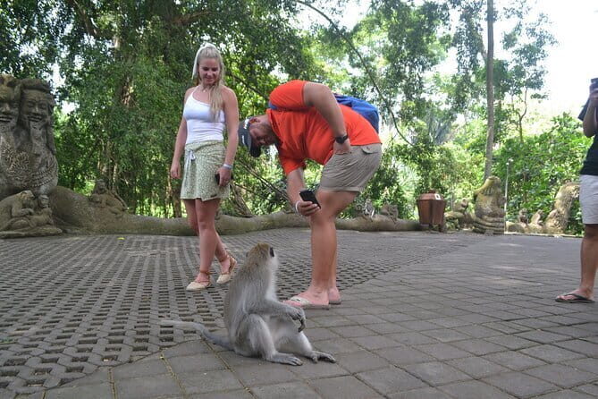 Private Bali Customized Tours - Pricing and Value