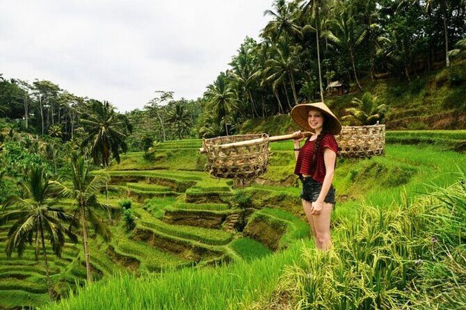 Private Bali Tour - All Inclusive - An In-Depth Look at the Bali Private Tour
