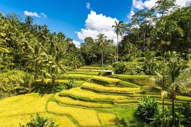 Private Bali Tour - All Inclusive - FAQ