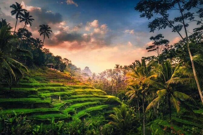 Private Bali Tour with Lisensed Bali Driver - FAQ