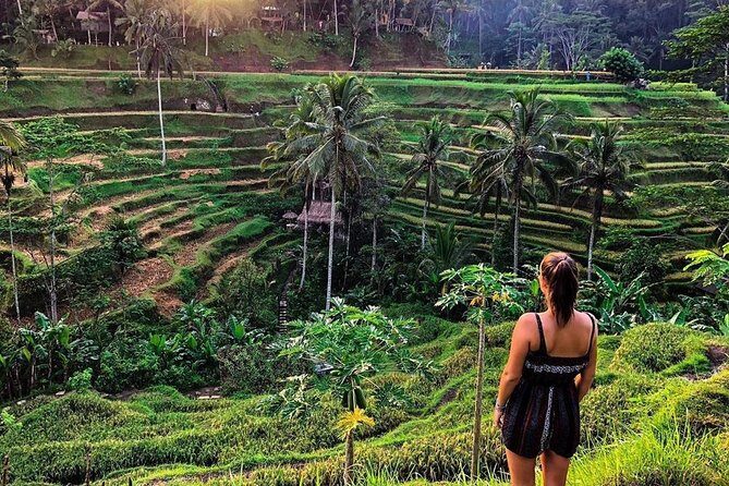 Private Bali Tour: Wonderful Ubud with Swing - Final Thoughts: Is This Tour Right for You?
