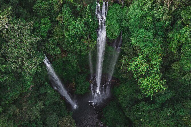 Private Bali's North Sacred Sites and Idyllic Nature Exploration - Wildlife and Iconic Landmarks
