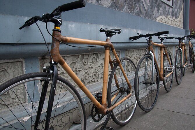Private Bamboo Bicycle Tour in Chengdu - Who Will Love This Tour?