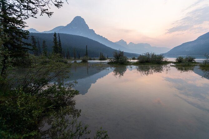 Private Banff and Canmore Stargazing Tour with VIP Pickup - What Travelers Are Saying