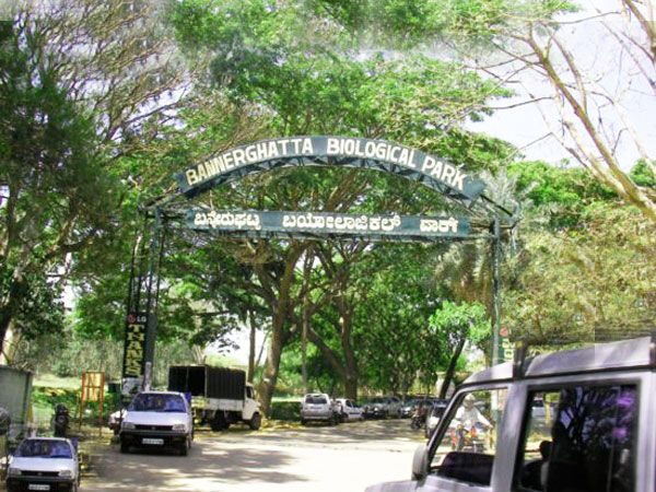 Private Bannerghatta National Park Day Excursion - Analyzing the Cost and Value