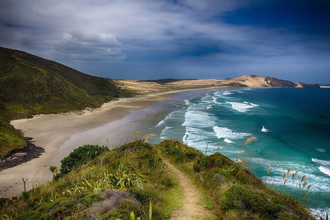 [PRIVATE] Bay of Islands Discovery From Auckland - A Closer Look at This Day Trip