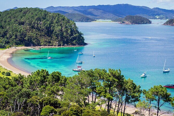 [PRIVATE] Bay of Islands Discovery From Auckland - The Sum Up