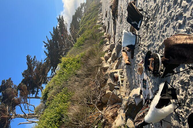 Private Beach Bonfire in Carmel-by-the-Sea - Key Points