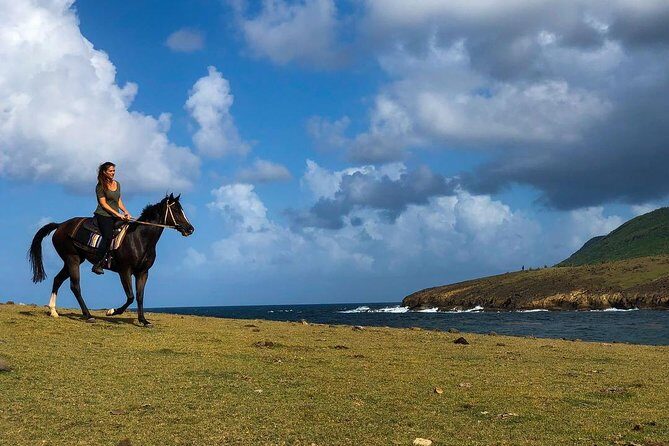 Private Beach Horseback Ride with Sandy Hoofs St. Lucia - What Do Travelers Say?
