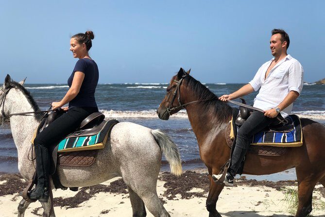 Private Beach Picnic Horseback Ride with Sandy Hoofs St. Lucia - An Overview of the Experience