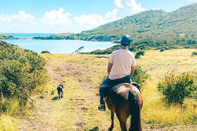 Private Beach Picnic Horseback Ride with Sandy Hoofs St. Lucia - The Sum Up