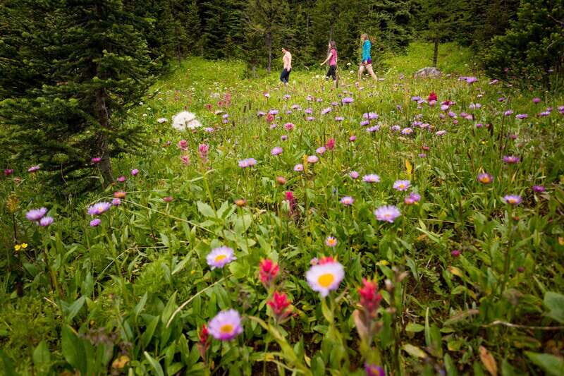 PRIVATE: Bear Country Hiking Tour - 4H Adventure - FAQs