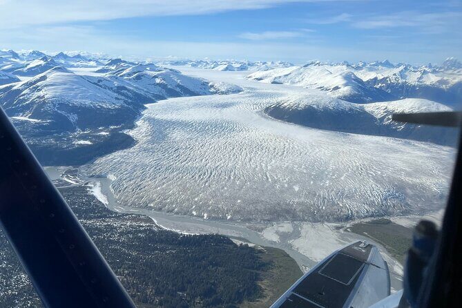 Private Bear Viewing By Seaplane - FAQ