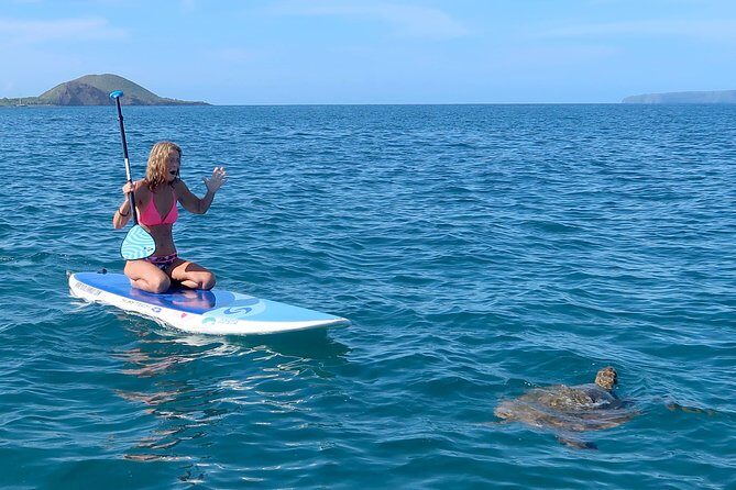 Private Beginner Paddleboard 101 Lesson: Polo Beach, Turtle Town - What’s Included and What’s Not
