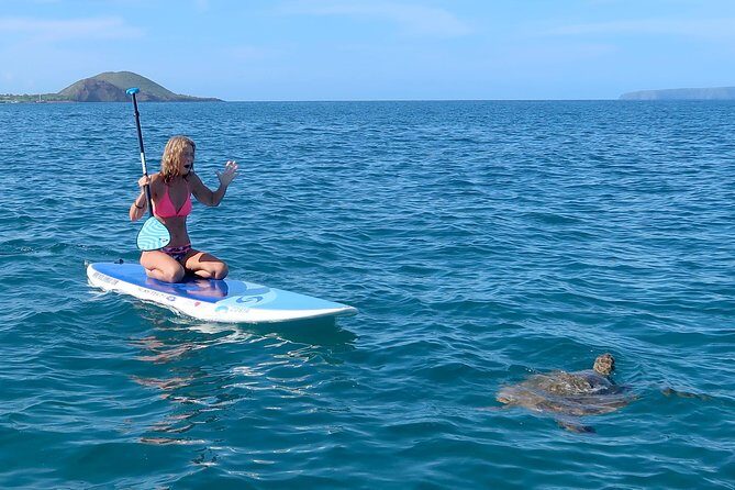 Private Beginner Paddleboard Lesson with Snorkel in Turtle Town - An In-Depth Look at What to Expect