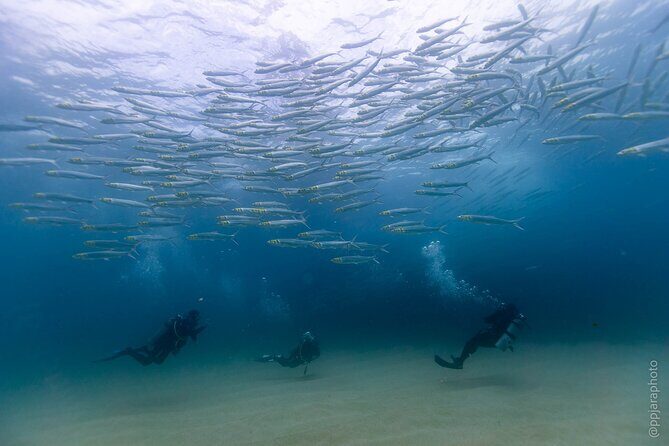 Private Beginner Scuba Diving Experience in Cabo San Lucas - The Boat Ride and Briefing