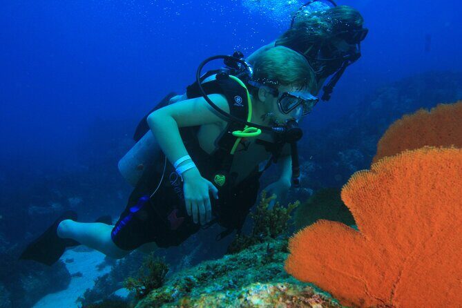 Private Beginner Scuba Diving Experience in Cabo San Lucas - The Equipment and Safety