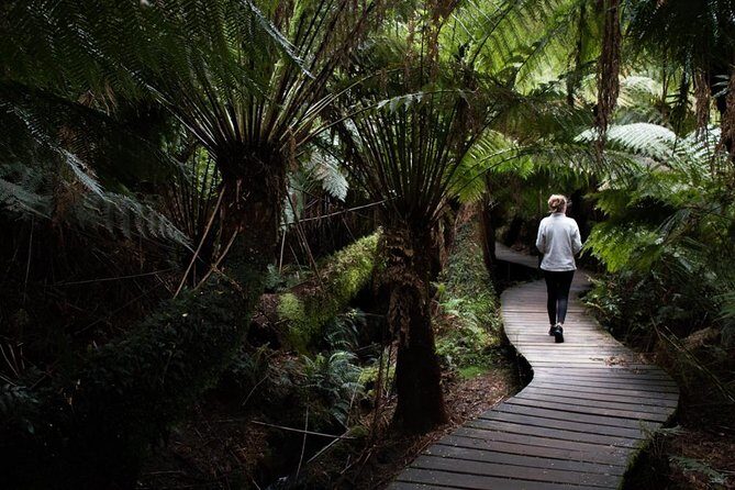 Private Bespoke Melbourne Walking Tour - Expert Local Guide - Who Will Love This Tour?