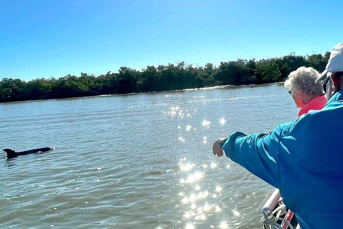 Private Best of Marco Island Dolphin Tour - Who Should Consider This Tour?
