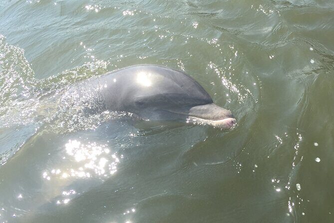 Private Best of Marco Island Tour - A Closer Look at the Tour Itinerary