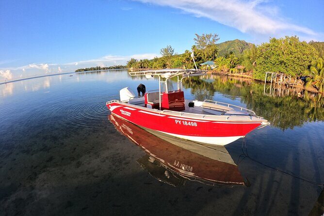 Private Big Game Fishing Day - What to Expect from the Tour