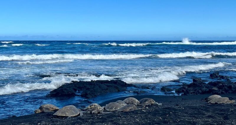 Private Big Island Tour:Coffee, Beaches,Volcanos & Waterfall - Lets Break Down the Itinerary