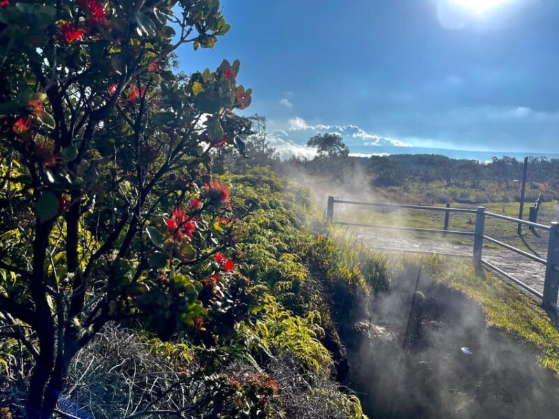 Private Big Island Tour:Coffee, Beaches,Volcanos & Waterfall - Who Will Love This Tour?