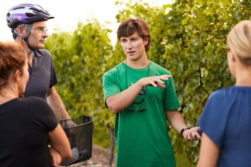 Private Biking Wine Tour (Full Day) Marlborough Region - Why Choose a Private Biking Wine Tour in Marlborough?