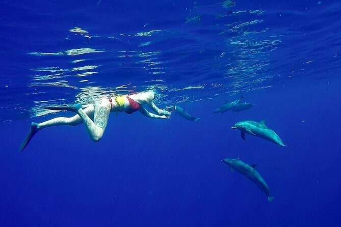 Private Biologist-Led Sea'fari (up to 10 passengers) - The Setting and Meeting Point