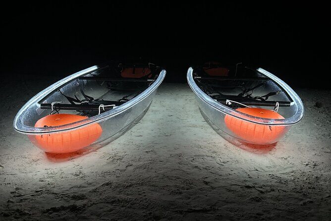 Private Bioluminescence Tour by clear Kayak in Holbox - The Experience: What You Can Expect on the Tour