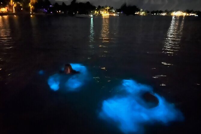 Private: Bioluminescence Tour - An In-Depth Look at the Private Bioluminescence Tour in Grand Cayman